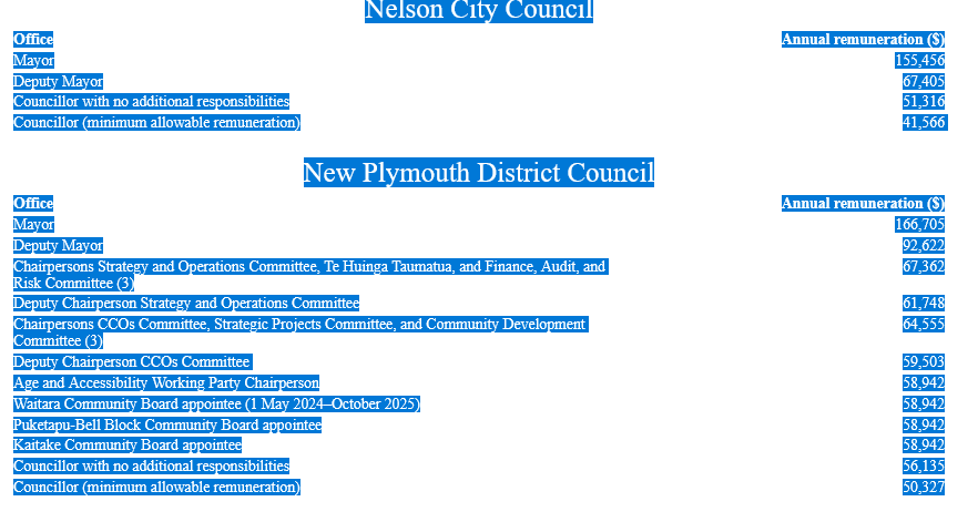 The remuneration of Councillors and should they be paid more ?