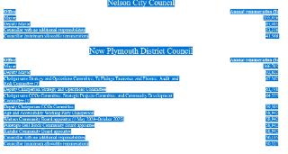The remuneration of Councillors and should they be paid more ?