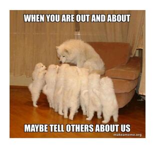 How would you like to help us by telling others about us ?
